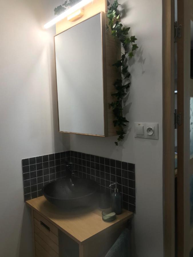 La Brindille Petit Mas Provencal Meuble De Tourisme 3 Etoiles 2-3 Personnes 1 Piece 30 M2 Tout Confort Lisiere Foret Jardin Jacuzzi Piscine Saint-Paul-en-Forêt Exterior foto