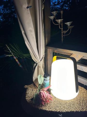 La Brindille Petit Mas Provencal Meuble De Tourisme 3 Etoiles 2-3 Personnes 1 Piece 30 M2 Tout Confort Lisiere Foret Jardin Jacuzzi Piscine Saint-Paul-en-Forêt Exterior foto