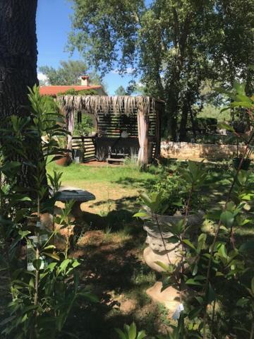 La Brindille Petit Mas Provencal Meuble De Tourisme 3 Etoiles 2-3 Personnes 1 Piece 30 M2 Tout Confort Lisiere Foret Jardin Jacuzzi Piscine Saint-Paul-en-Forêt Exterior foto